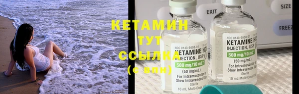 индика Козельск