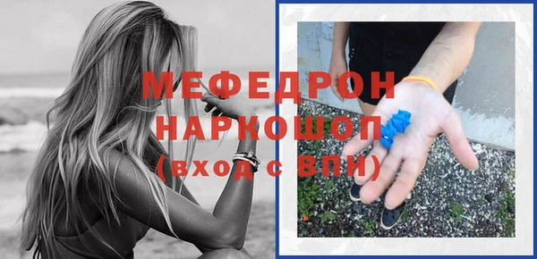 индика Козельск