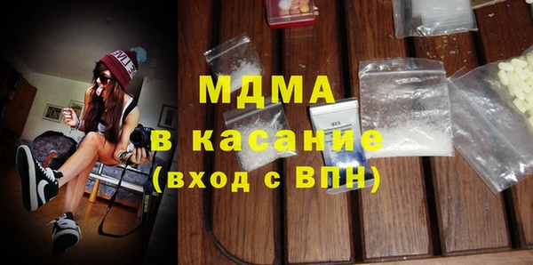 индика Козельск