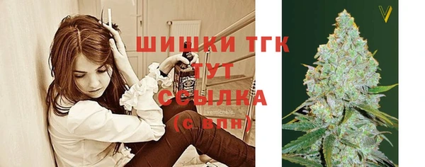 сатива Кодинск