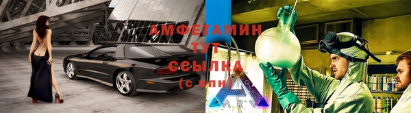 сатива Кодинск